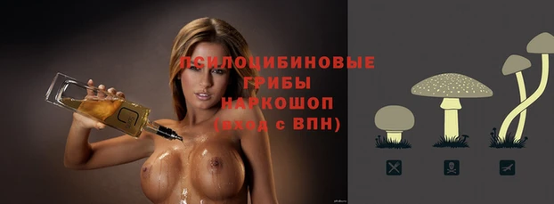 шишки Абинск