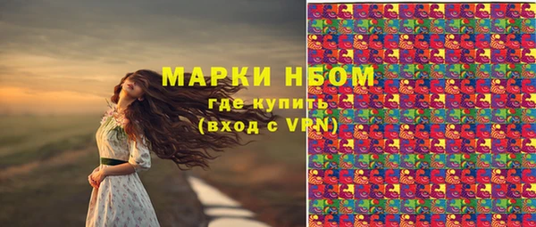 стаф Алексин
