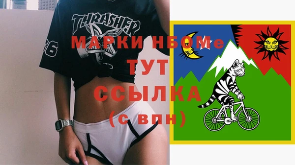 стаф Алексин